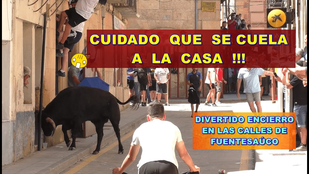 Fuentesaúco (Za). Encierro Urbano. 