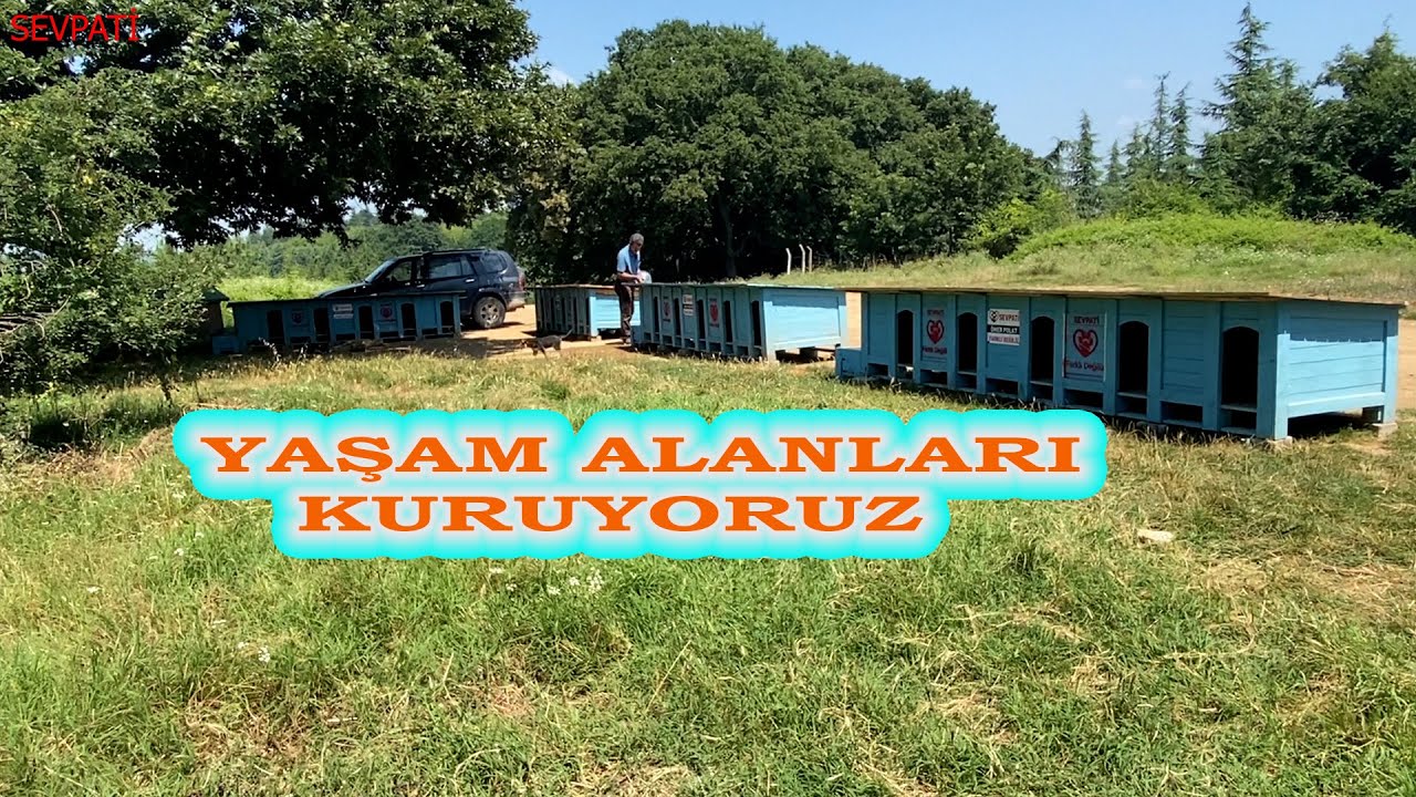 Bu Sorun Nasıl Çözülür ? | Doğal Yaşam Alanları Kuruyoruz |   Bölge : 1