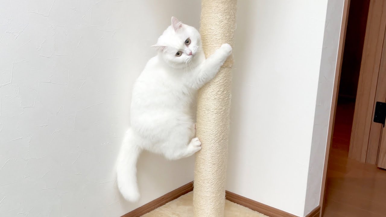 ん？