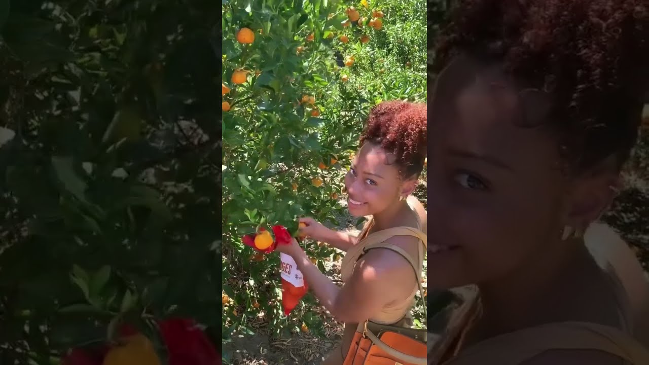 Lookin Like A Natural Ginger ☀️ 