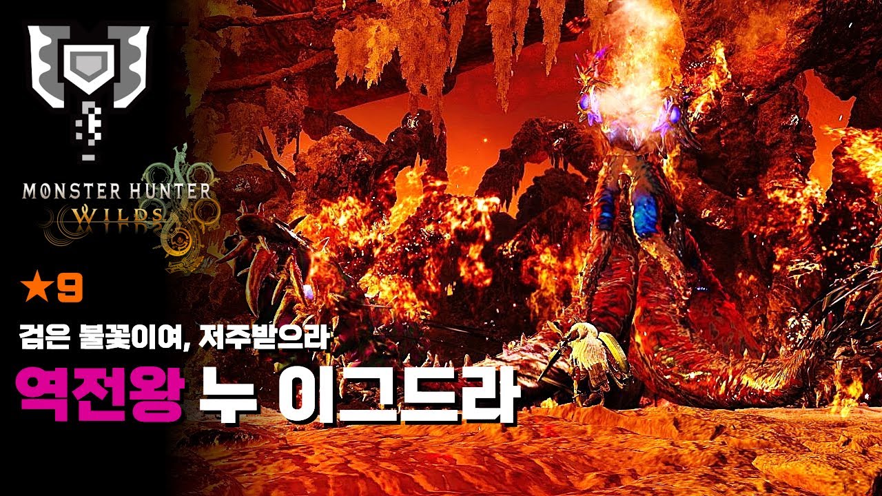 차지액스ㅣ★9 검은 불꽃이여, 저주받으라ㅣ역전왕 누이그드라 수렵ㅣ강속성병ㅣ몬스터헌터 와일즈 [MH:Wilds]
