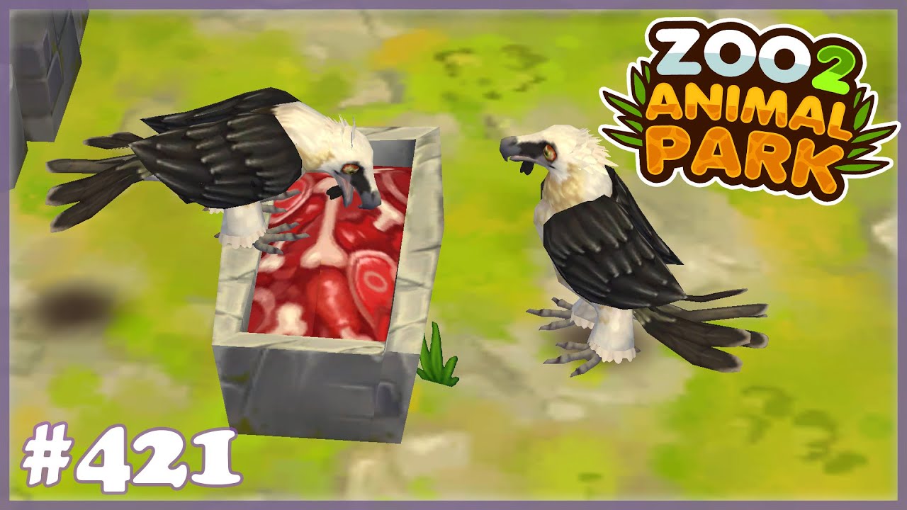 Retro Truhen für den Bartgeier öffnen - Zoo 2 - Animal Park /421