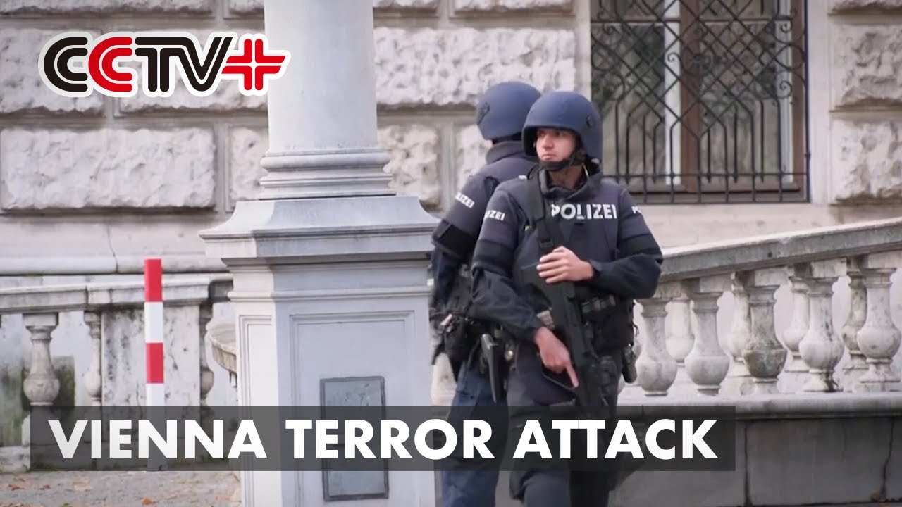 Austrian Police Launch Manhunt after Terrorist Attack in Vienna