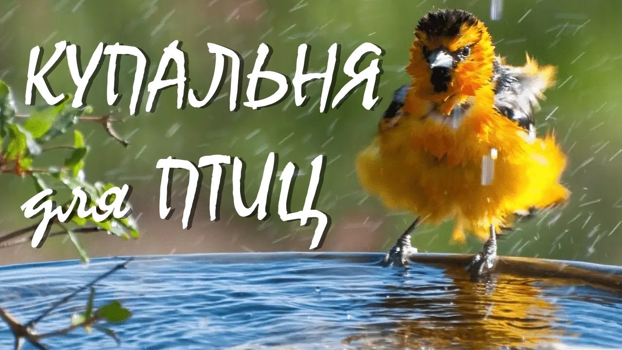 Антистресс на даче. На любой вкус. 