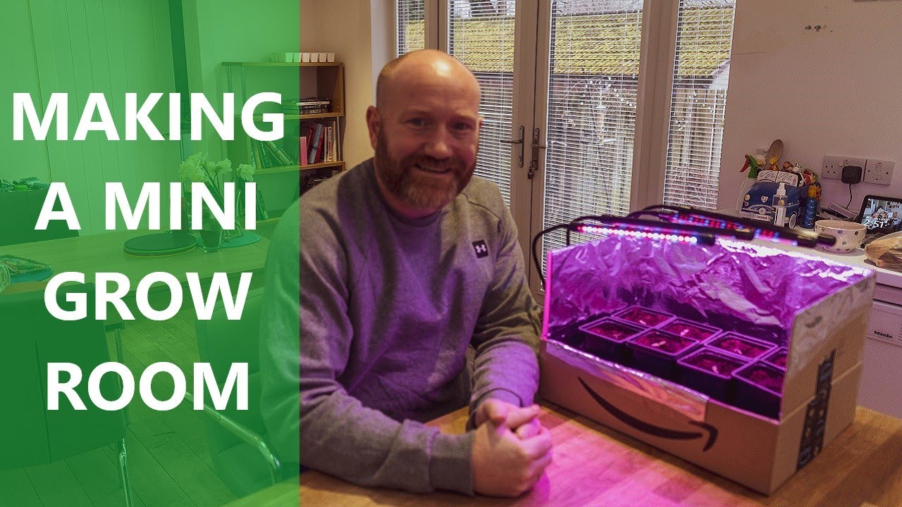 Amazon Grow Lights - Making A Mini Grow Room