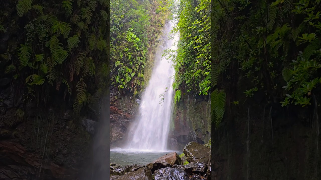 PR 6 - Levada das 25 Fontes. Madeira
