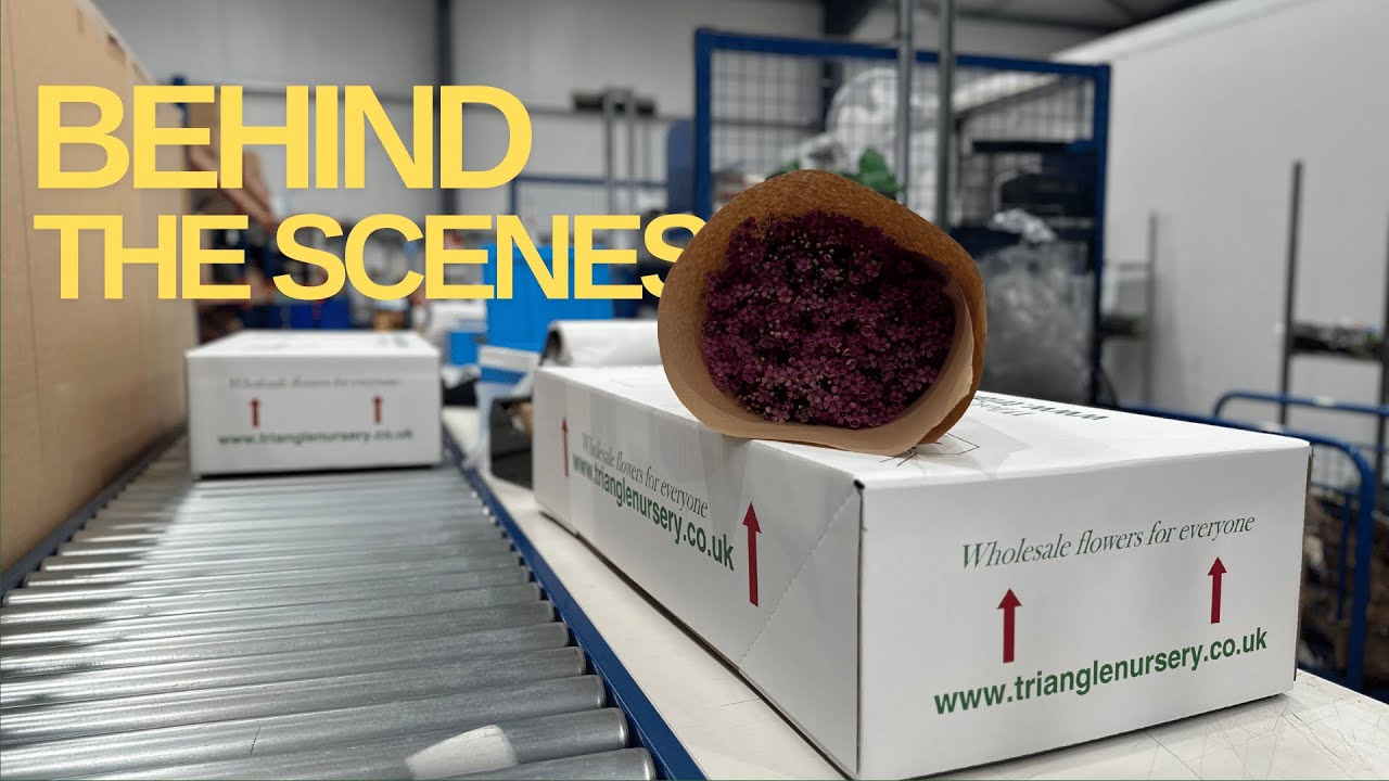 Behind the Scenes: Packing a Wholesale Flower Order for Delivery | Triangle Nursery