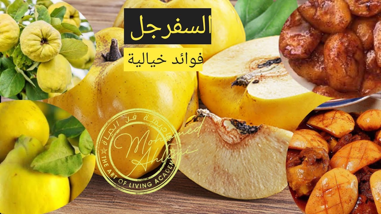 السفرجل🧺 لمن يبحثون عن ثروة الصحة🛑 فوائد تفوق الخيال🧠🩸🦠 محمد أحليمي🫁🍯🎃🧺أكاديمية فن الحياة🐓🍠🏕️🧺🎃🦆🧉