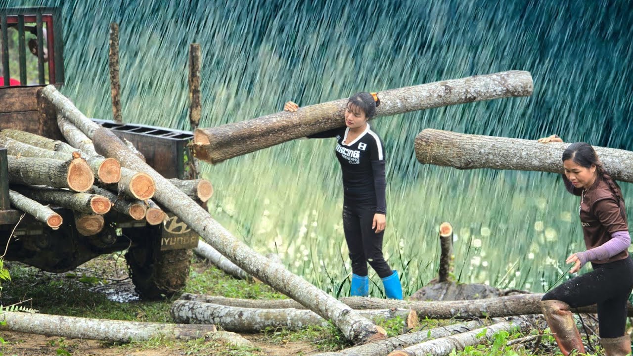 Agricultural vehicle, Vietnamese girl harvesting wood in heavy rain #wood #farming #truck 