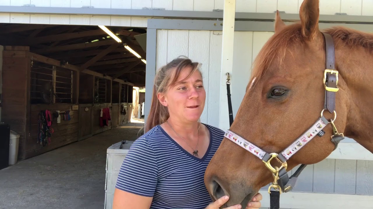 Quick tip for the hard-to-bridle horse