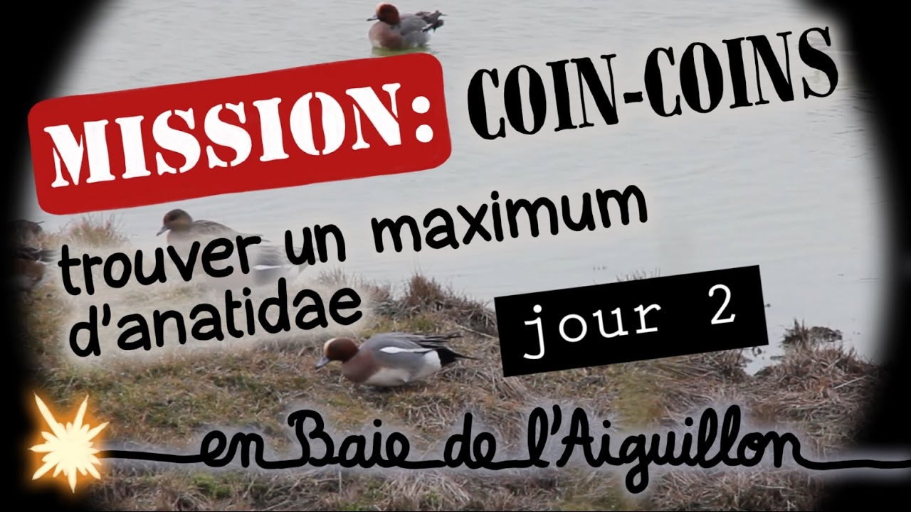 Mission coin-coins (jour 2) - Mission Naturalix#5