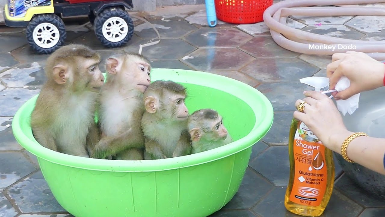 Four Little Sit In Bathtube Waiting Mom Clean After Playing