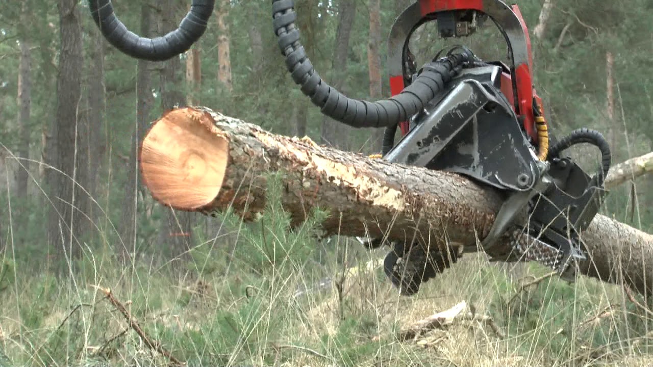 Bosbouw Harvester Kaaistoep Tilburg