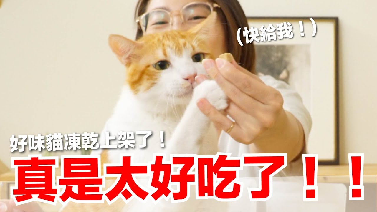 【好味小姐】太好吃了！96%貓咪都愛吃的好味貓凍乾上架了！｜好味商店EP18
