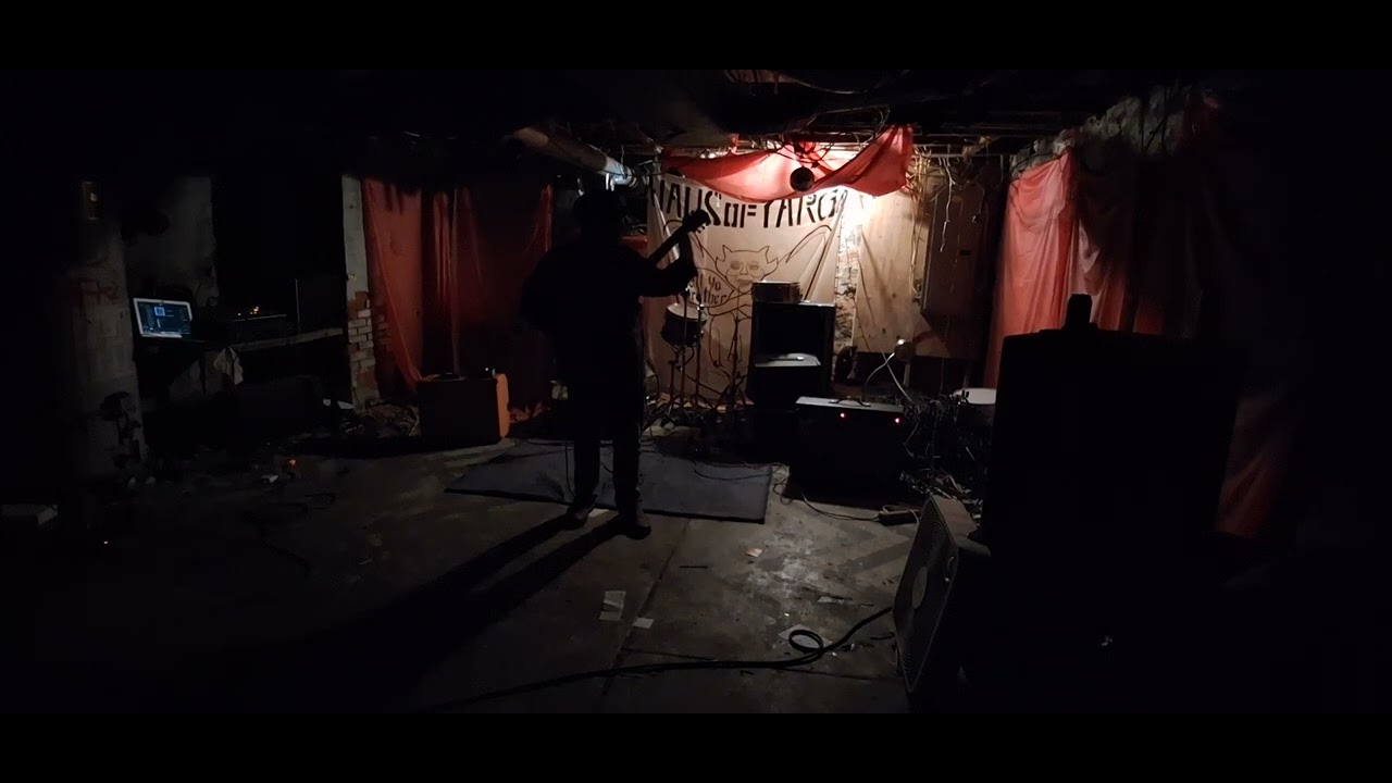 Reynard Fox - The Haus