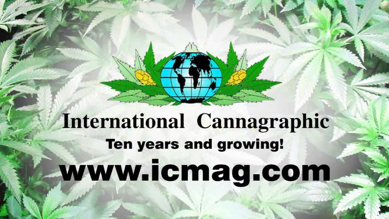 ICMag 30 Seconds