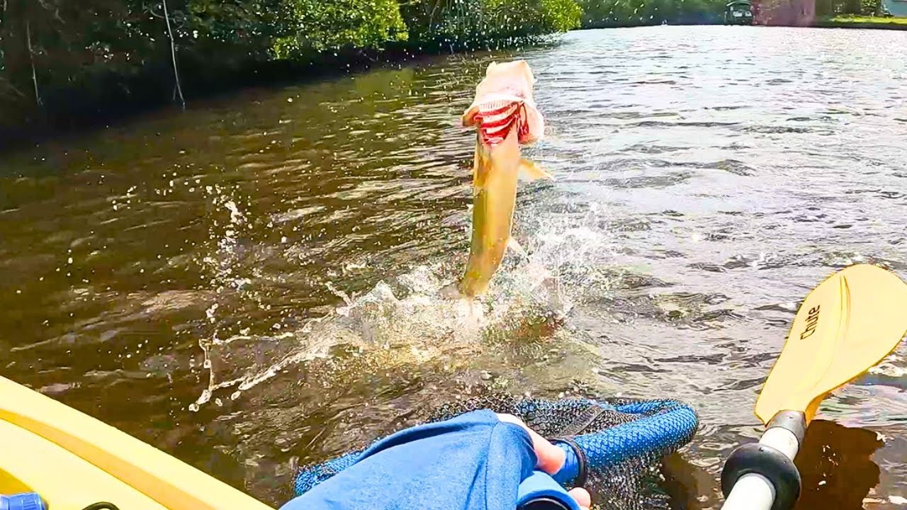 Kayak Fishing in Fort Myers, Florida | Catching Fish on the Caloosahatchee River