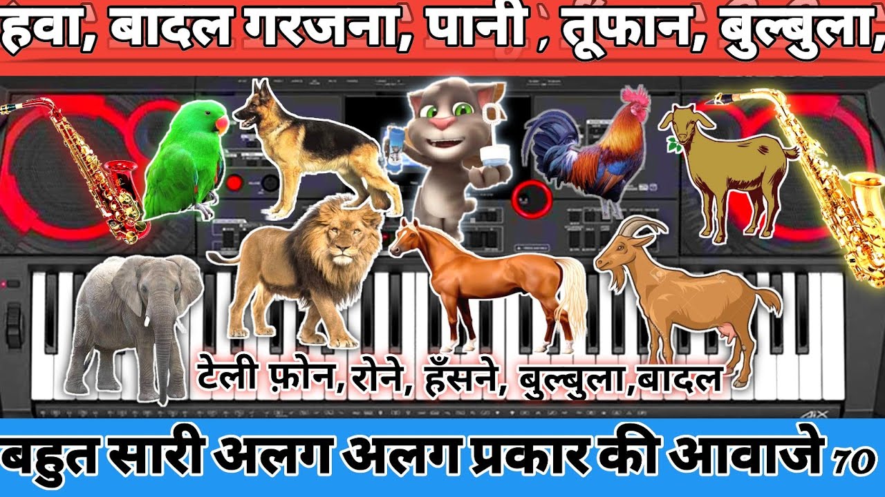 How To Edit  शंख, हवा, पानी, झरना, बिजली⛈️, तूफान, हाथी🐘, घोड़ा, 🐪बिल्ली, 🐕Casio CTX-9000IN &8000IN