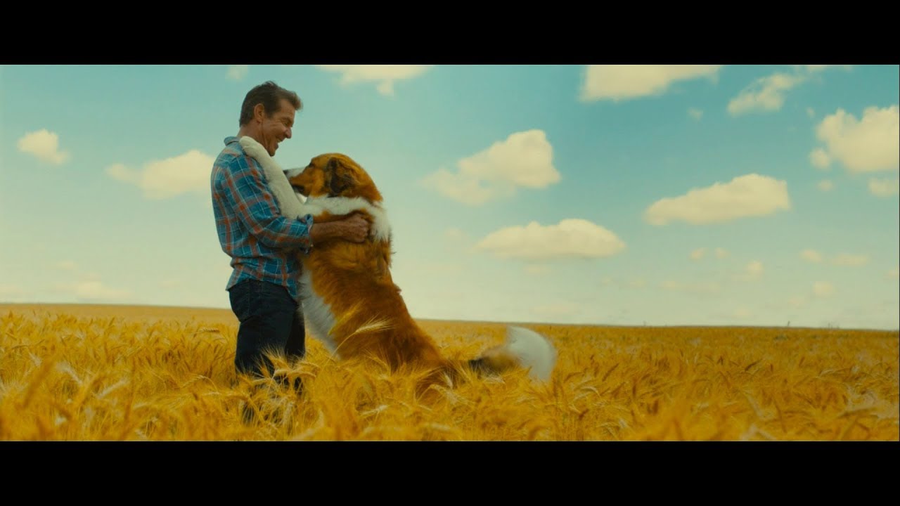 &Scaron;UNS TIKSLAS 2 / Dog's Journey (2019) lietuvi&scaron;kai dubliuoto filmo anonsas