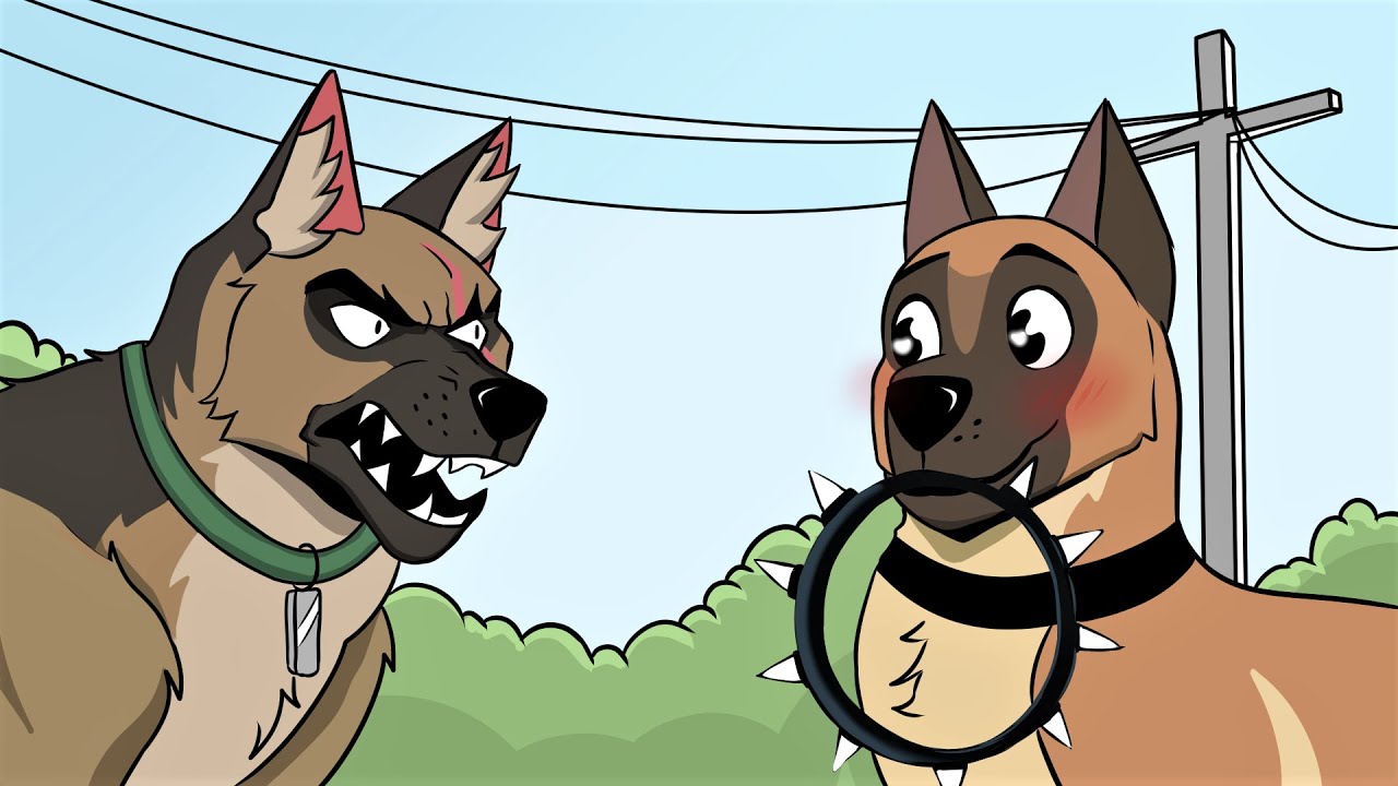 Pixie and Brutus Comic Dub || DDOC