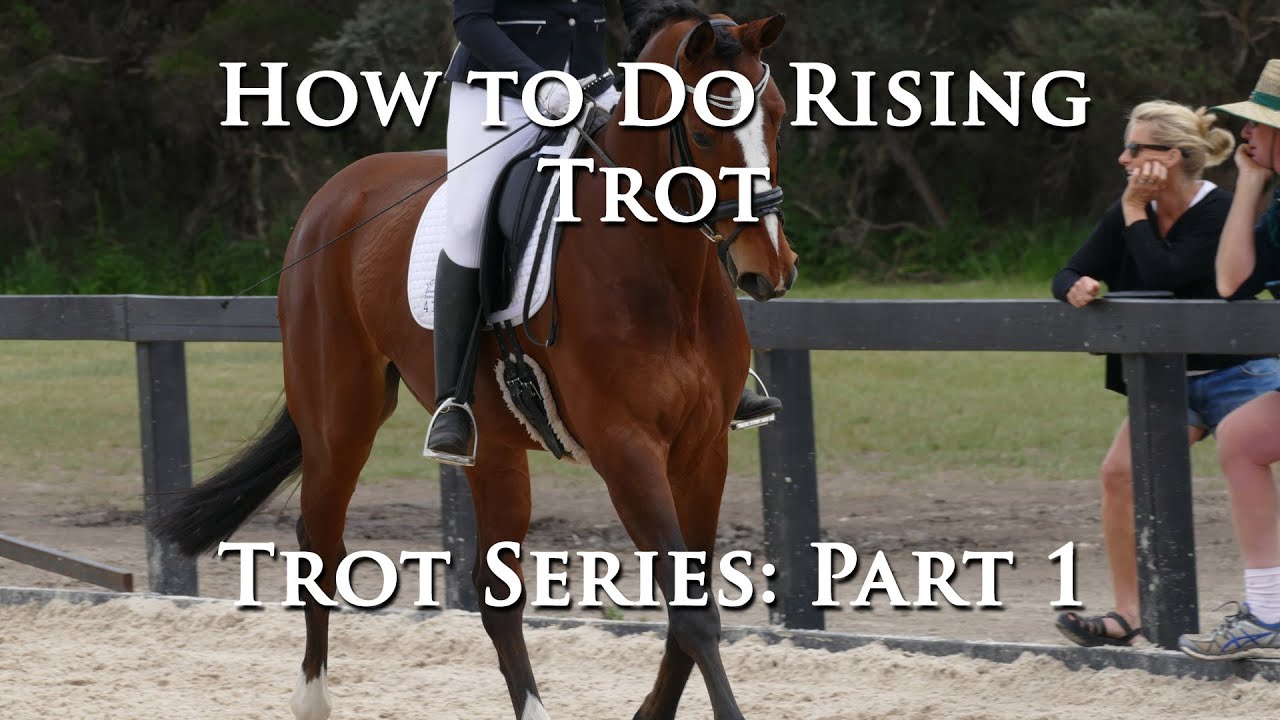 HOW TO DO RISING TROT (PART 1 OF TROT SERIES) - Dressage Mastery TV Episode 63