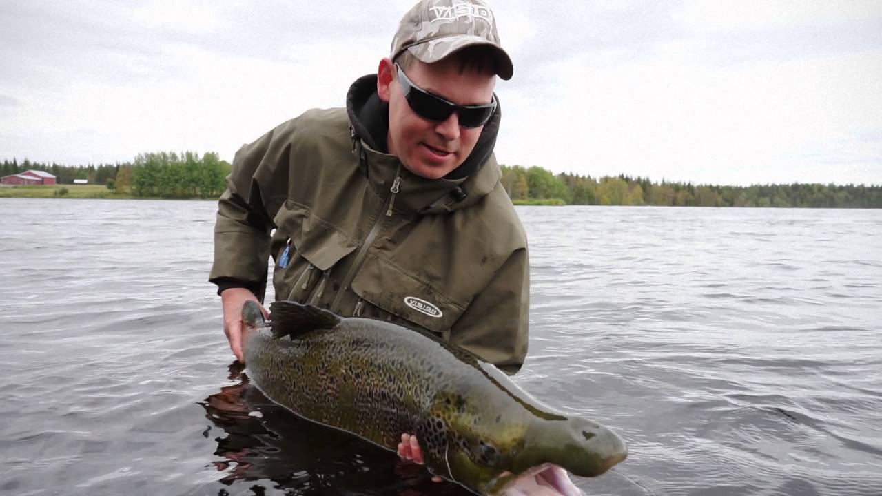 Fly Fishing Baltic Salmon at Kengis Bruk