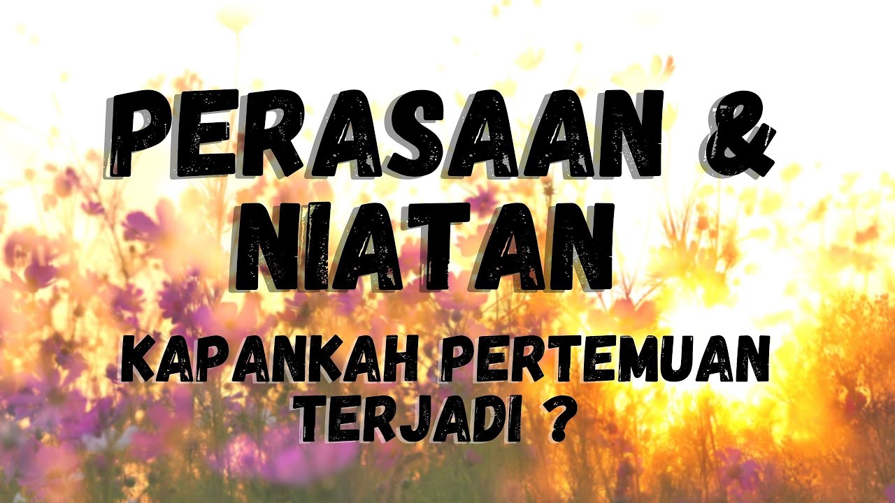 🌙 PERASAAN & NIATAN, KAPANKAH PERTEMUAN TERJADI 🌙 #generalreading #timelessreading #mellamorgen