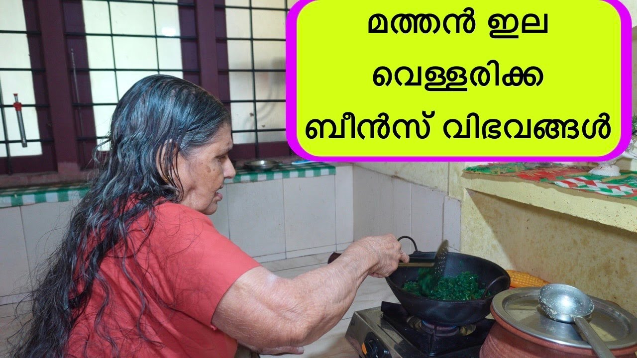 ഒരു നാടൻ ഉച്ചയൂണ്/ മത്തൻ ഇല വെള്ളരിക്ക ബീൻസ് കൊണ്ടുള്ള വിഭവങ്ങൾ/ Nadan Uchayoonu/ lunch time 