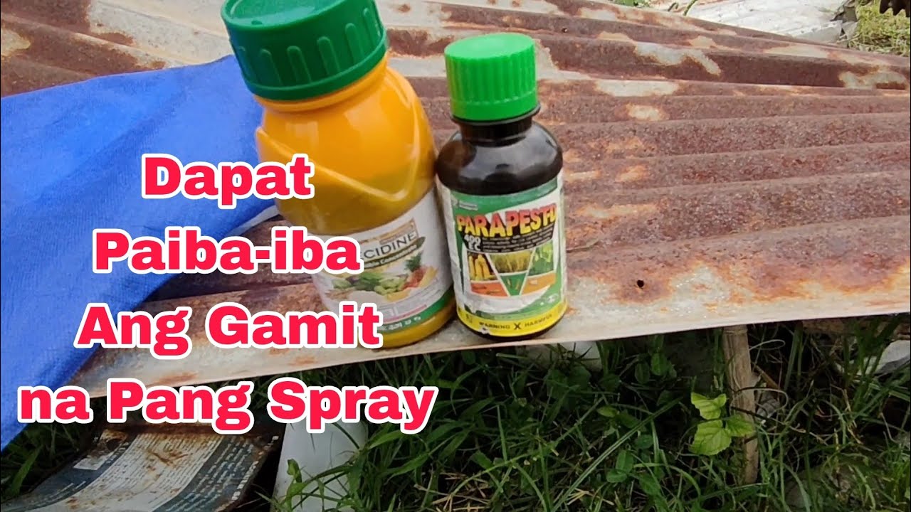 Nimbecidine and Parapest Insecticide