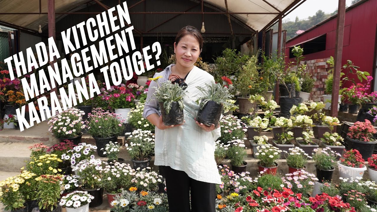 How much money  I spent for kitchen management in a month?