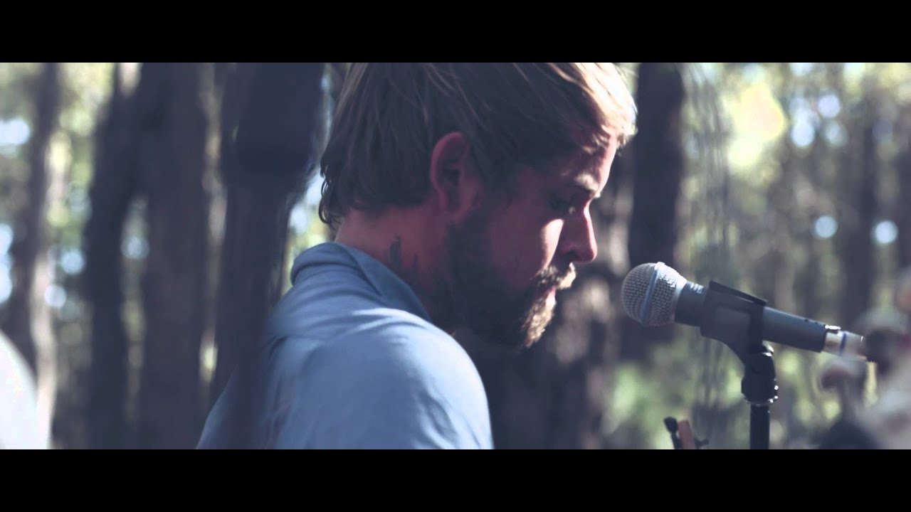 Emergence SaltTree MUSIC CLIP