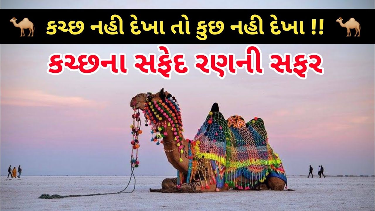  કચ્છનું સફેદ રણ | રણ ઉત્સવ | Travel Vlog Gujarati | Rann Utsav 2026 #timetotravel 