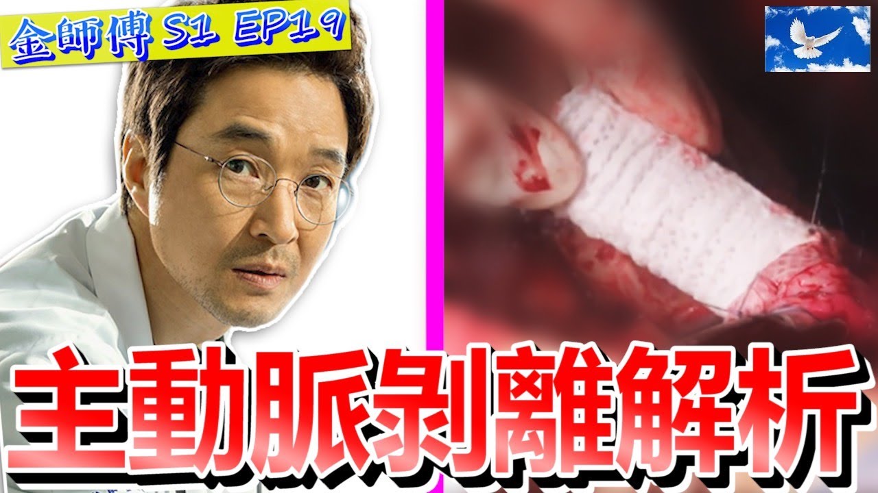 「主動脈剝離」經典症狀與手術方式 | 浪漫醫生金師傅S1EP19 X 醫學深度解析 | 蒼藍鴿評評理EP31