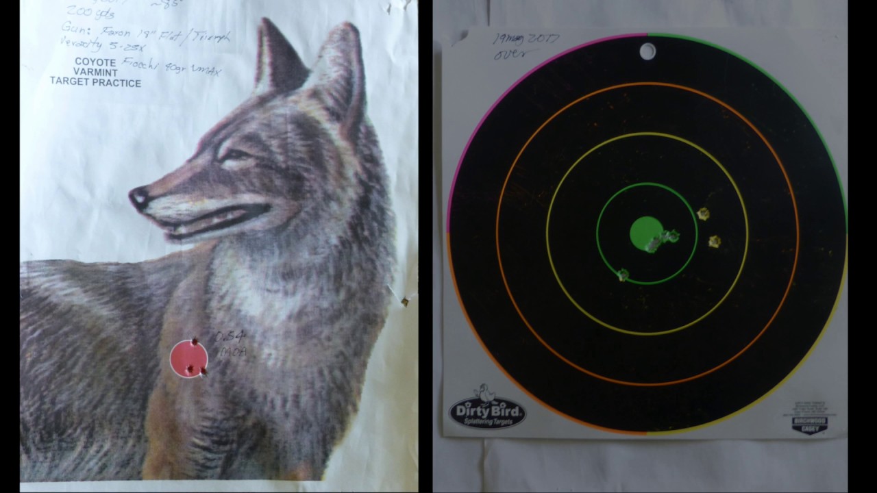 Fiocchi 40 gr VMAX 200 yds