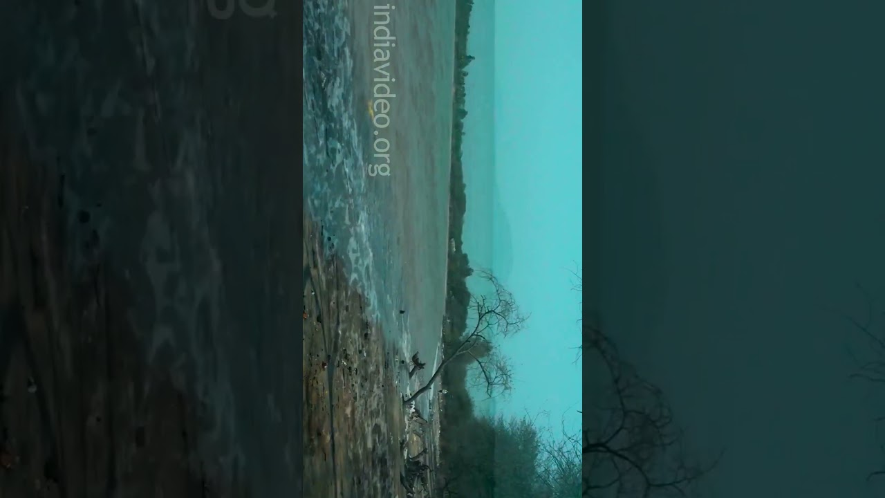 Mandwa Beach#mandwa #mandwabeach #beaches#maharashtra #beachesinindia #indiavideos #india
