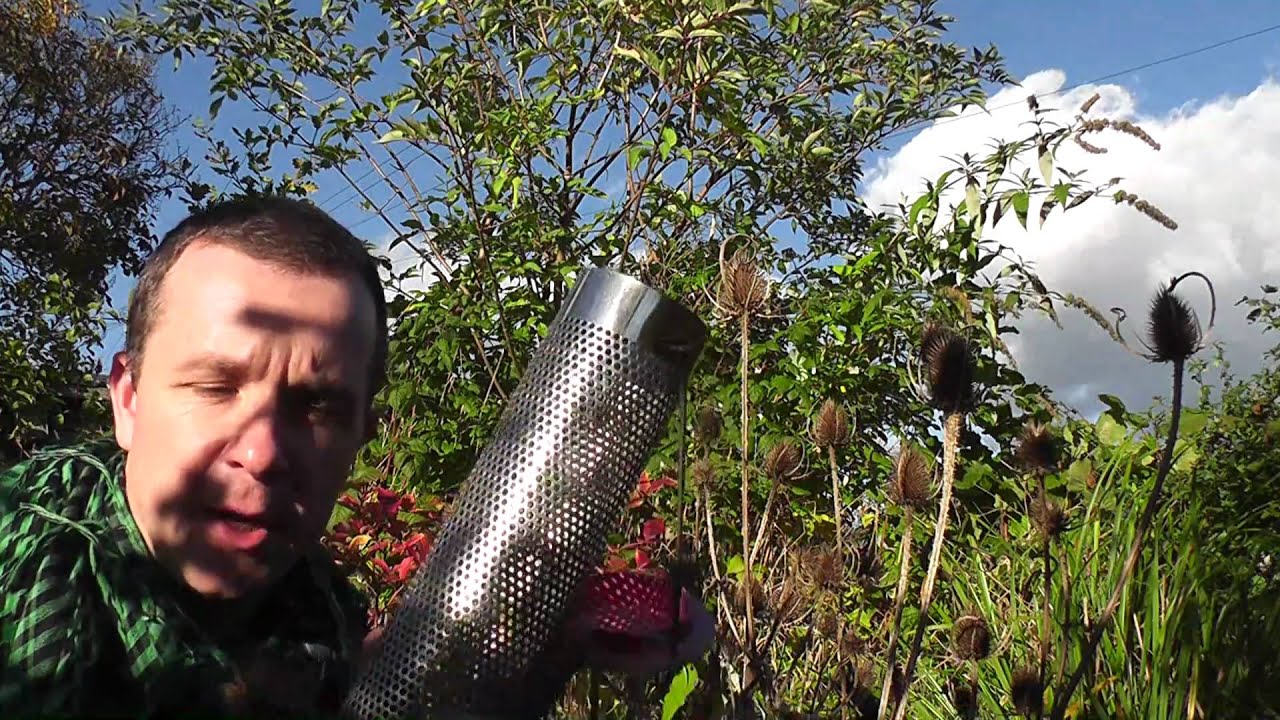 How to attract goldfinches. Alex Sally nyjer feeder top tip (wales england) hd