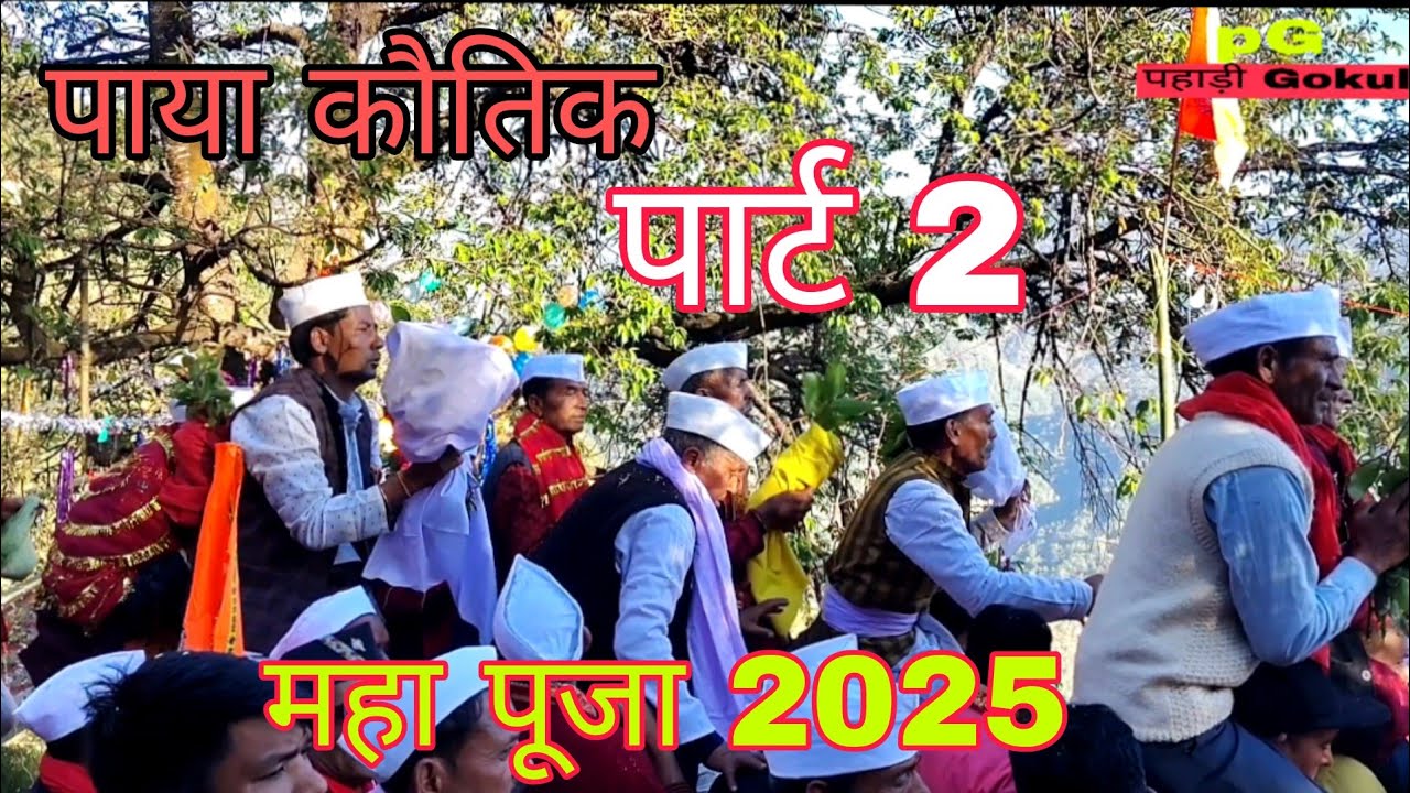 महा पूजा 2025 पाया कौतिक देखने दूर दूर से पहुंचे लोग ।। 4 December 2025।। Pahadi  lifestyle blog