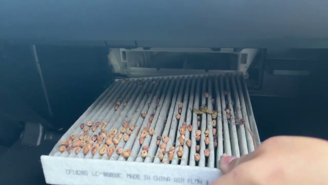 2022 Lexus GX460 Engine and Cabin Air Filter Change