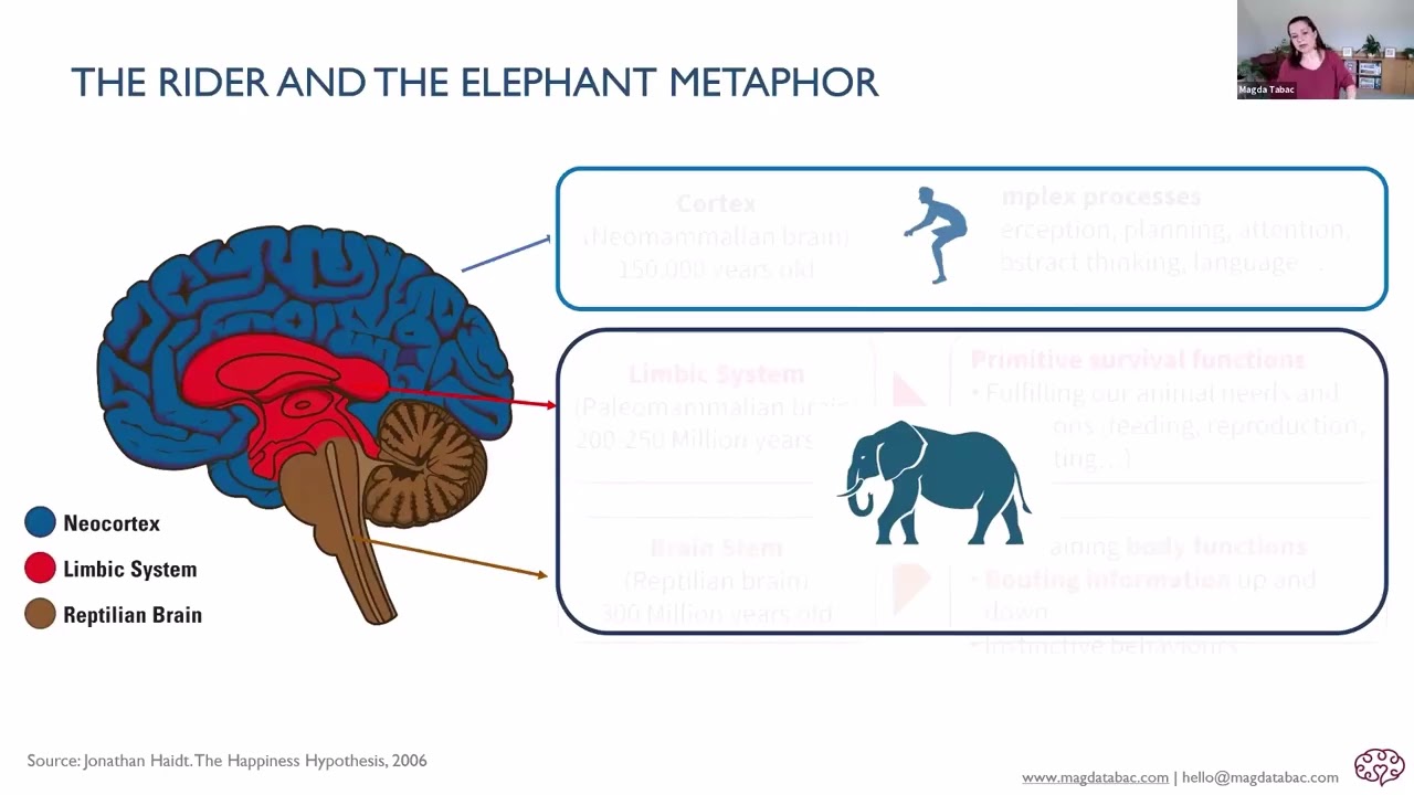 Webinar recording: The Simple Neuroscience of Stress