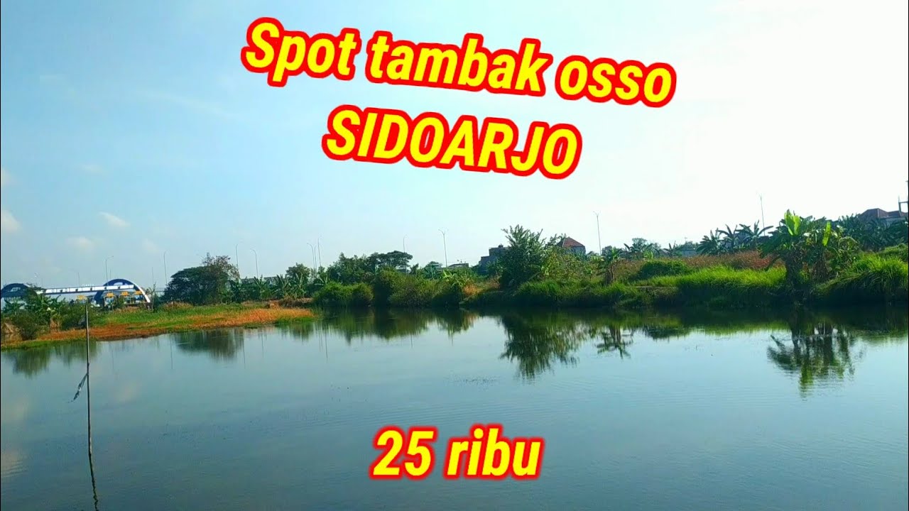 Spot E Joss..!!! Превосходство - это экстремально 25 тысяч платежей // Рыбалка в пруду Оссо, Сидо...