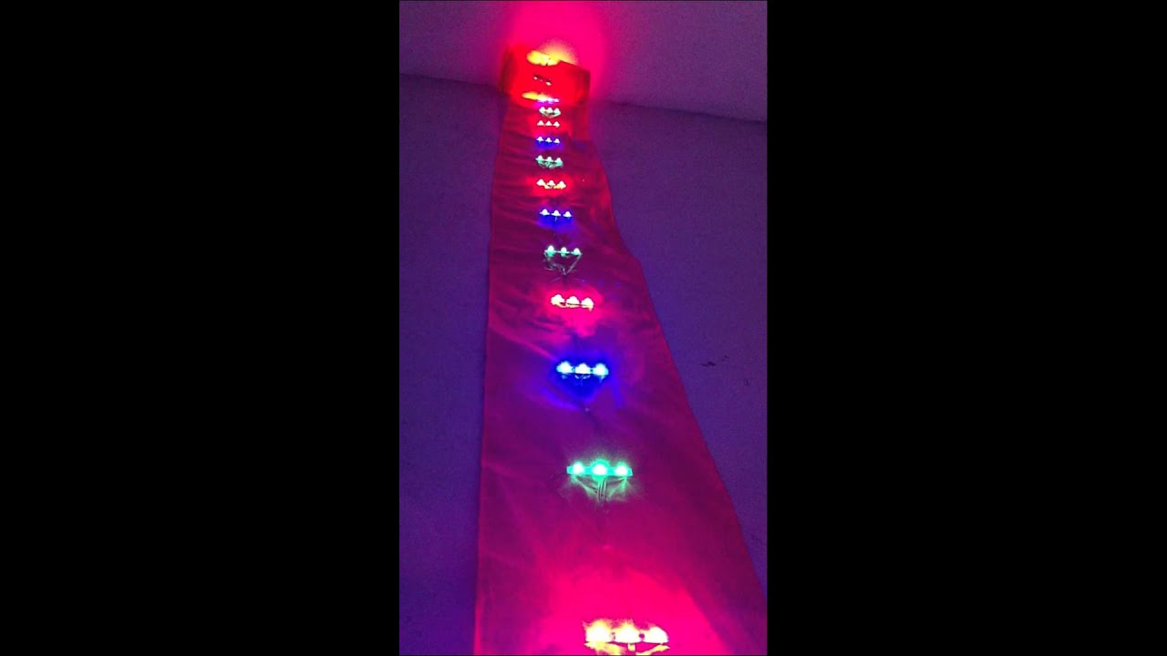 Blinking 7 Color LED Kite Tail 135Bulbs by Passionkites.com