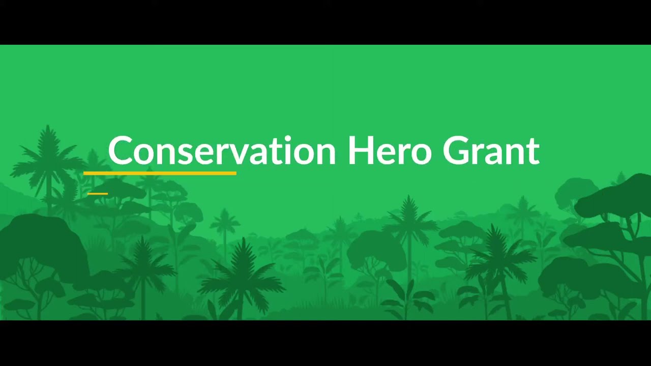 Conservation Hero Grant 2020 Finalists