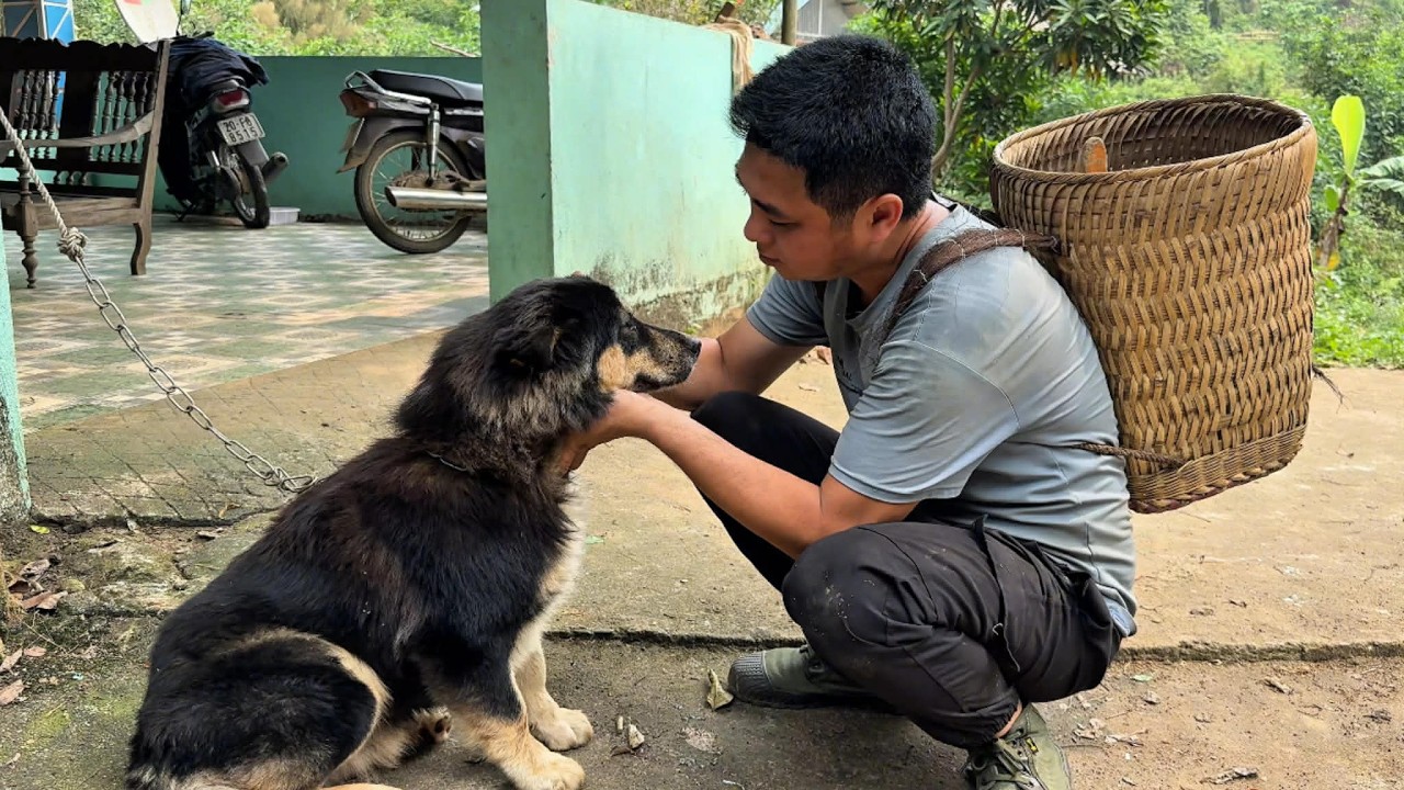 Я пошла на рынок продавать травы и неожиданно встретила собаку, за которой раньше ухаживала.