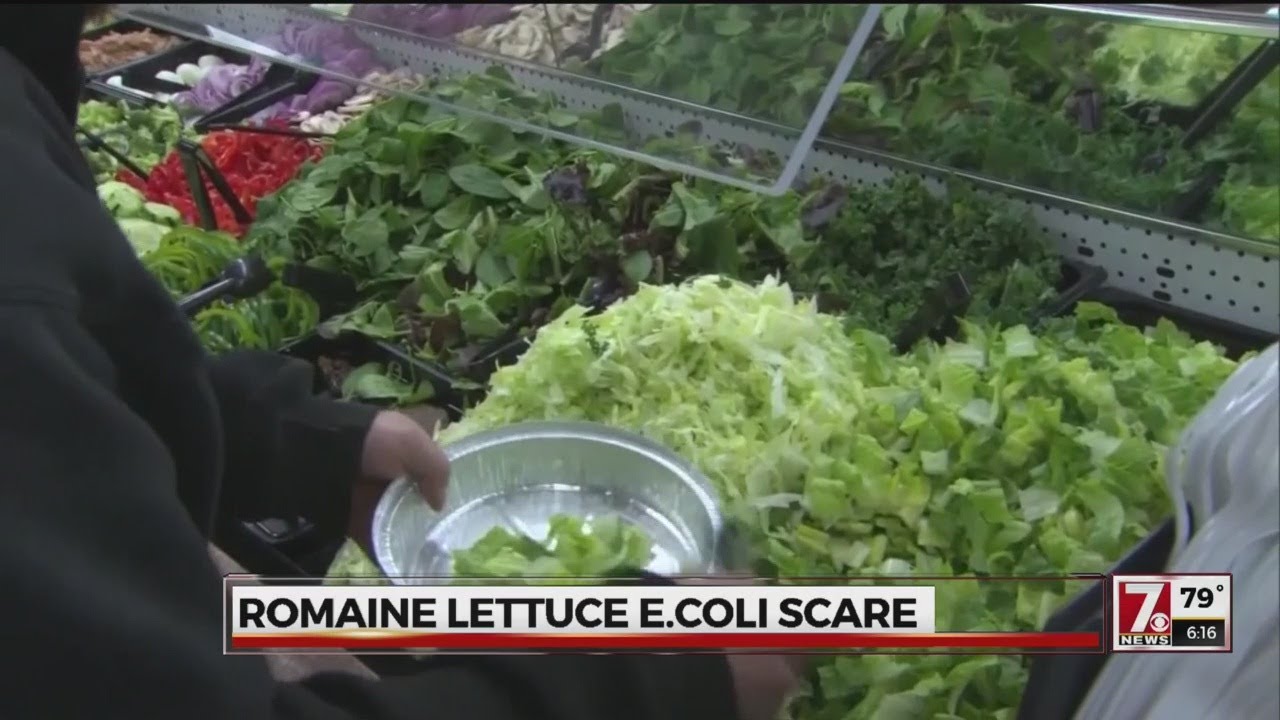 Romaine lettuce E. coli outbreak: What it means and symptoms to look out for
