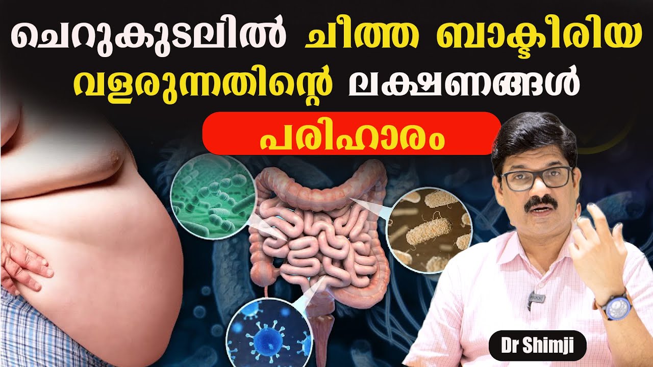 ചെറുകുടലിൽ ചീത്ത ബാക്ടീരിയ വളരുന്നതിന്റെ ലക്ഷണങ്ങൾ പരിഹാരം /SIBO/Dr Shimji #baijusvlogs