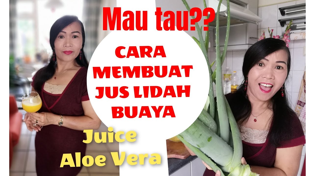 CARA MEMBUAT JUS LIDAH BUAYA / HOW TO MAKE JUICE ALOE VERA