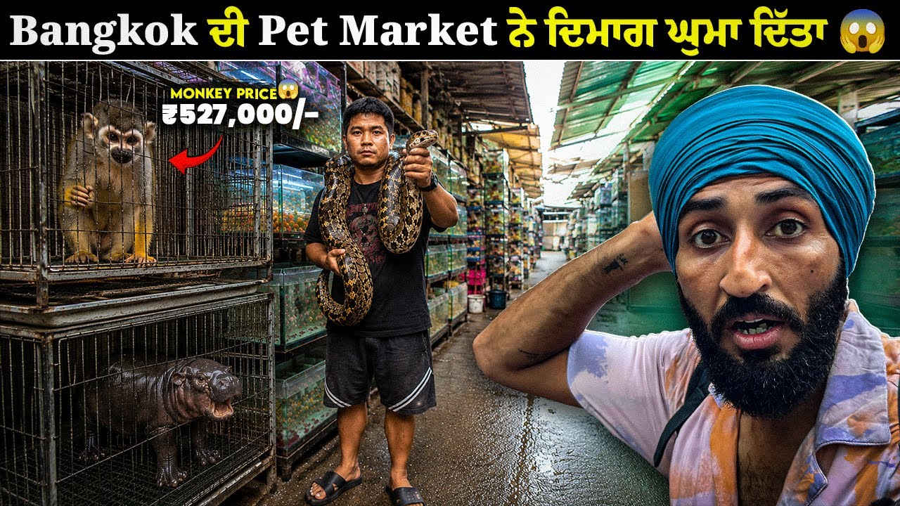 ₹5.50 ਲੱਖ ਦਾ ਬਾਂਦਰ, ਮਜ਼ਾਕ ਨਹੀਂ ਕਰ ਰਿਹਾ 😱 | Inside Bangkok's Craziest Pet Market 😱 | Backpacker Anmol