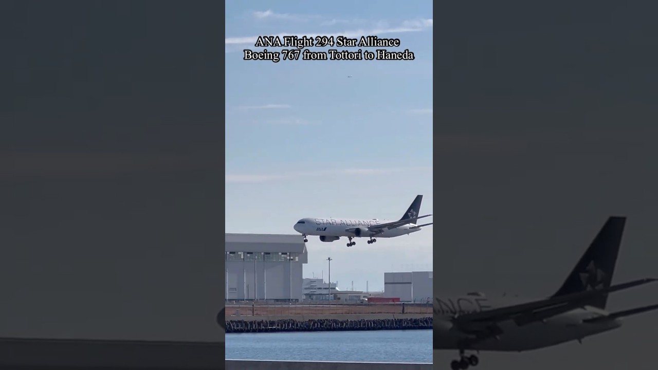 ANAスター アライアンス、ボーイング767の着陸シーン ANA Star Alliance Boeing 767 landing scene 