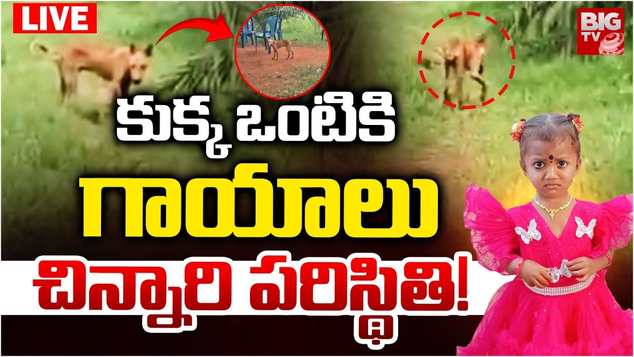 కుక్క ఒంటికి గాయాలు LIVE | Kakinada Girl 3 Years Girl Jahnavi Missing Updates | BIG TV TELUGU