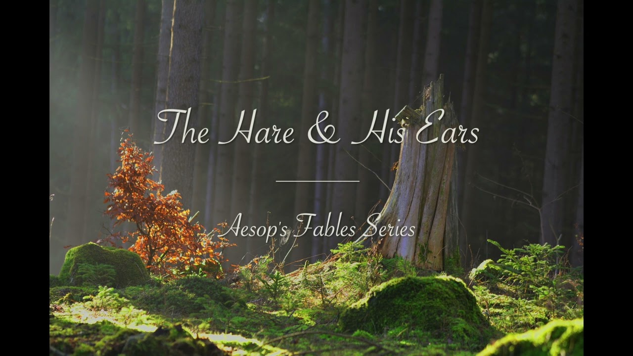 Aesop's Fables Series | Part 3 